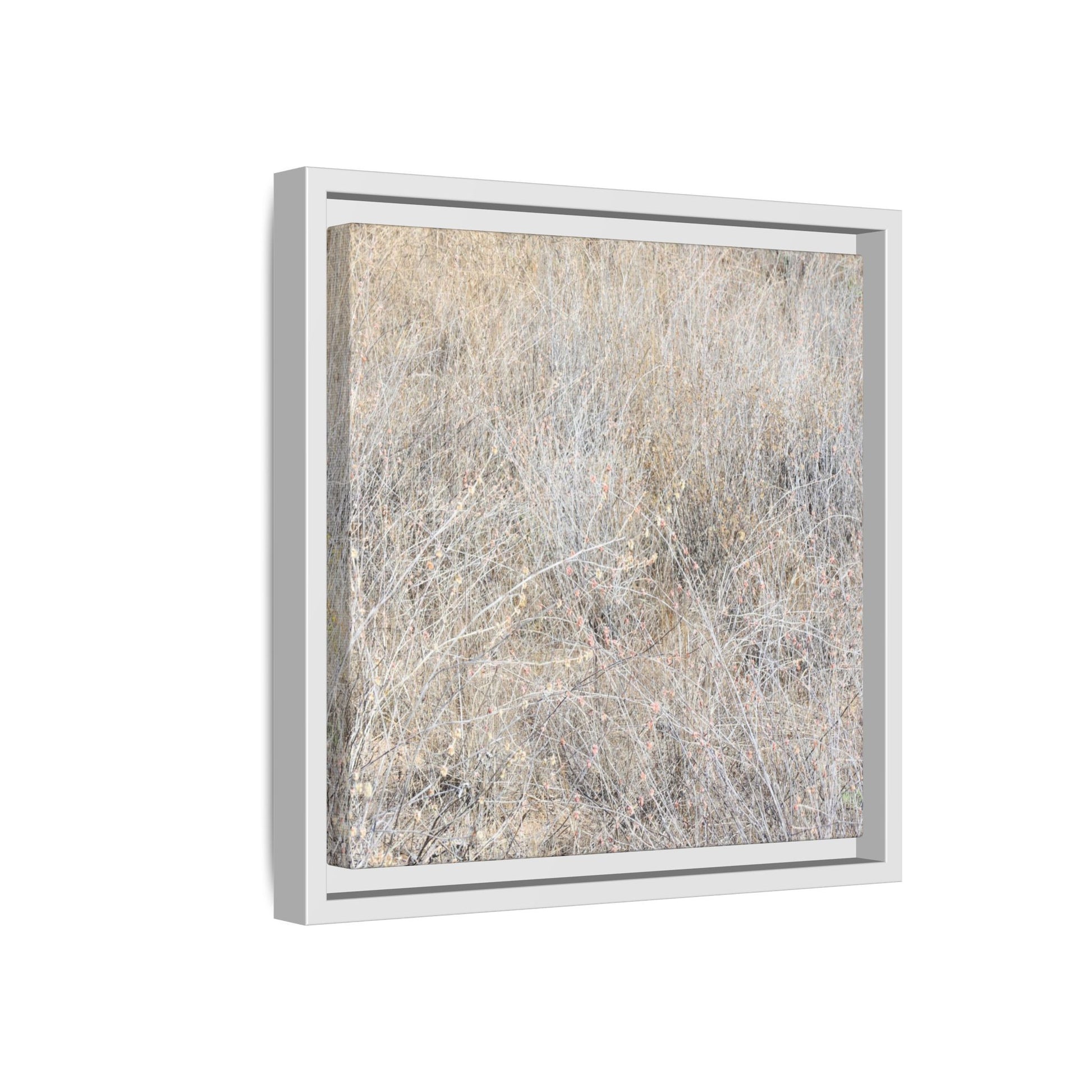 Whispers of Dry Grass - Unique Stretched Canvas Wall Art - Art By Earth