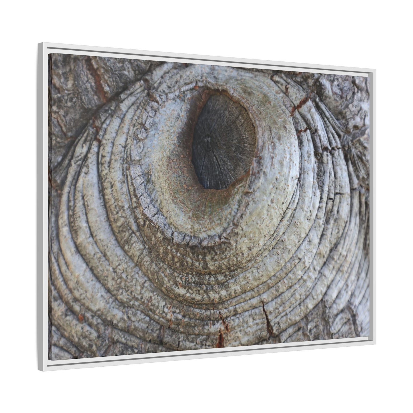 Echoes of Time - Unique Stretched Canvas Wall Art