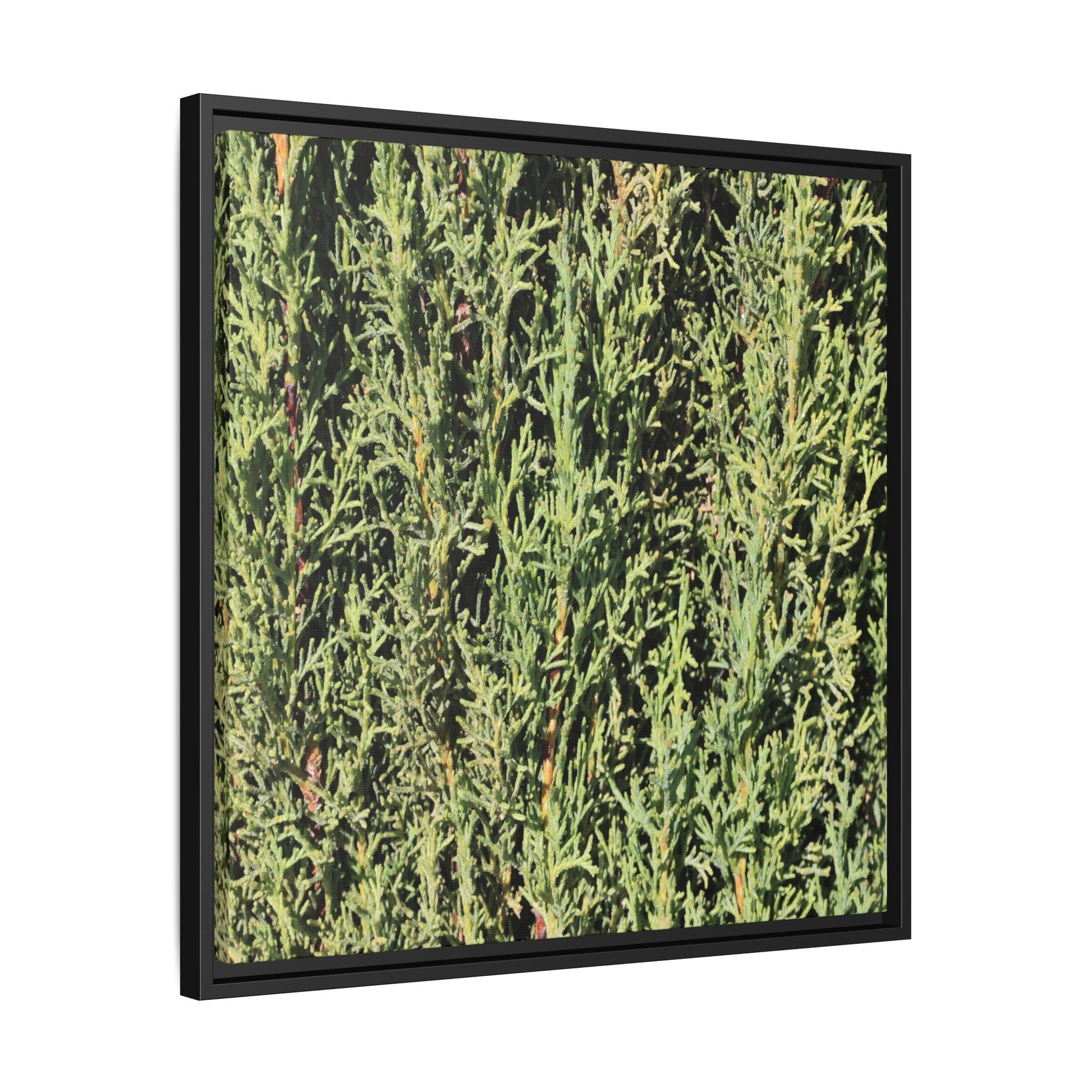 Emerald Labyrinth - Unique Stretched Canvas Wall Art - Art By Earth