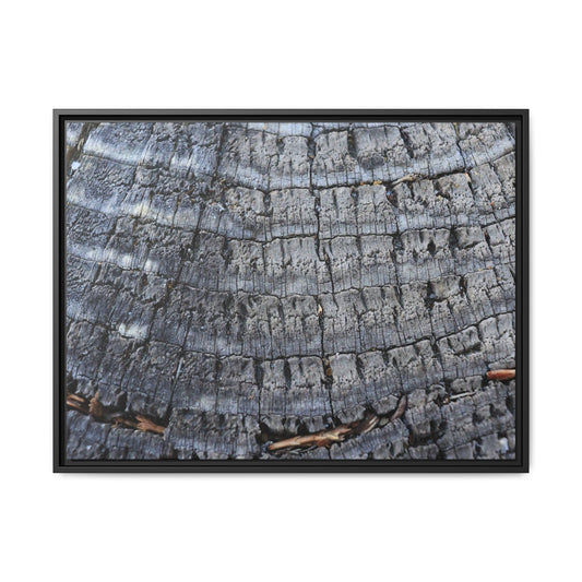 Charred Memories - Unique Stretched Canvas Wall Art
