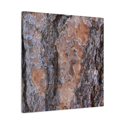 Terracotta Textures - Unique Frameless Canvas Wall Art