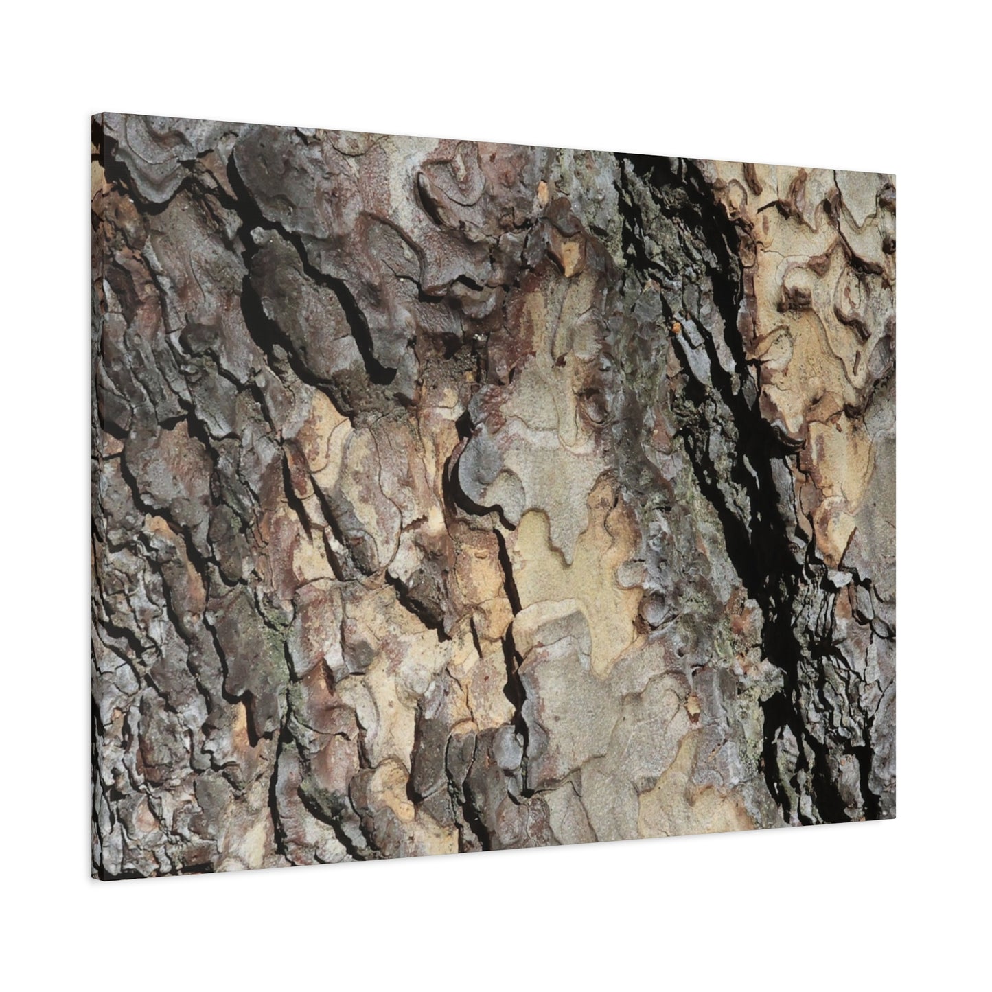 Tree Bark Symphony - Unique Frameless Canvas Wall Art