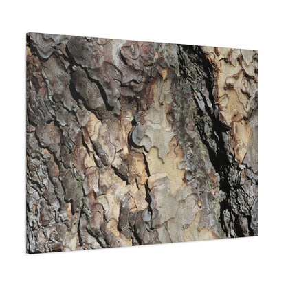 Tree Bark Symphony - Unique Frameless Canvas Wall Art