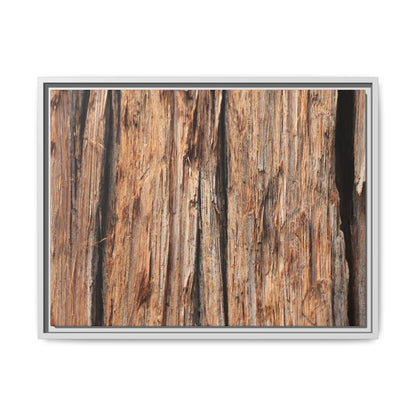 Timber Echoes - Unique Stretched Canvas Wall Art
