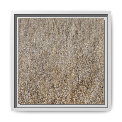 Dry Straw Symphony - Unique Stretched Canvas Wall Art - Art By Earth