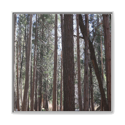 Forest Cathedral - Unique Stretched Canvas Wall Art