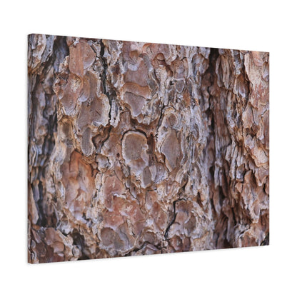 Rugged Bark Landscape - Unique Frameless Canvas Wall Art
