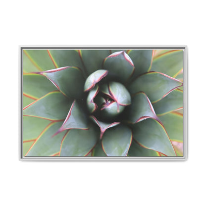 Spiky Elegance - Unique Stretched Canvas Wall Art