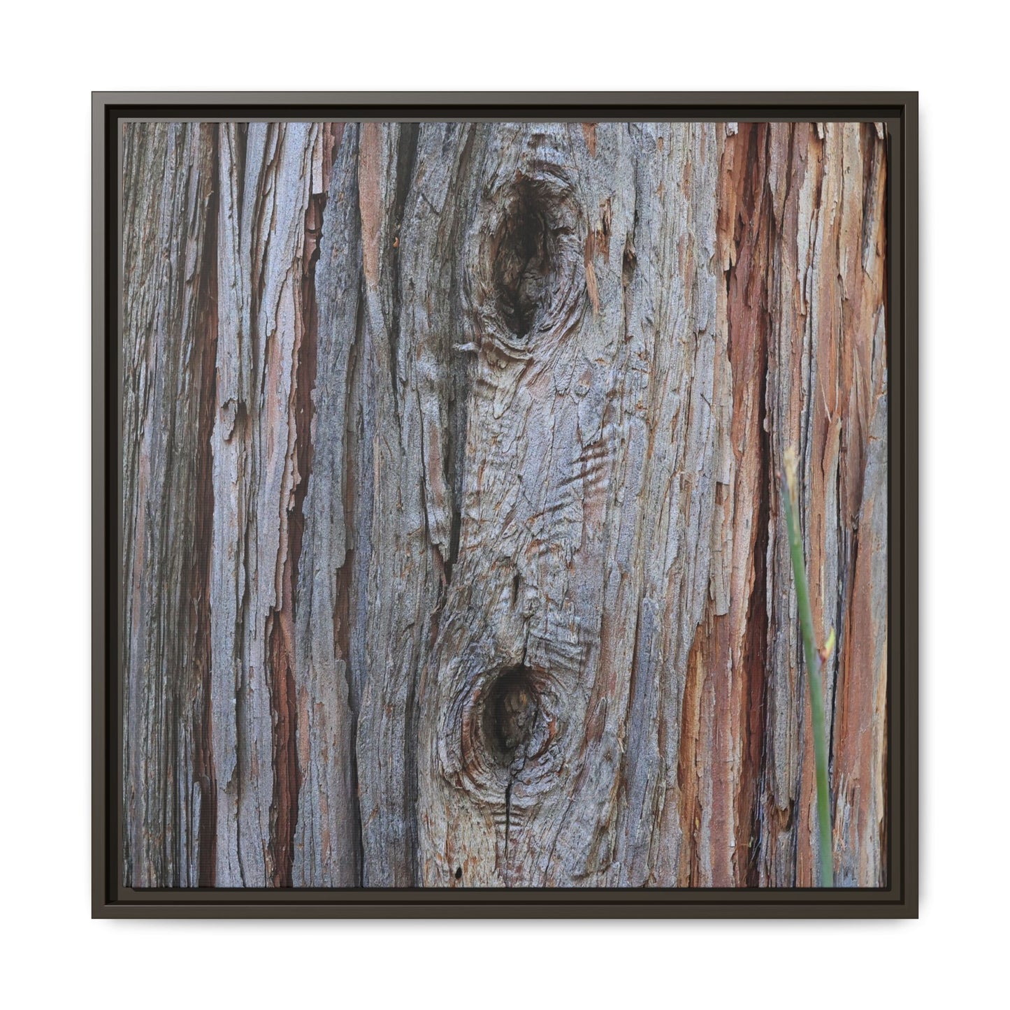 Knotty Nature - Unique Stretched Canvas Wall Art