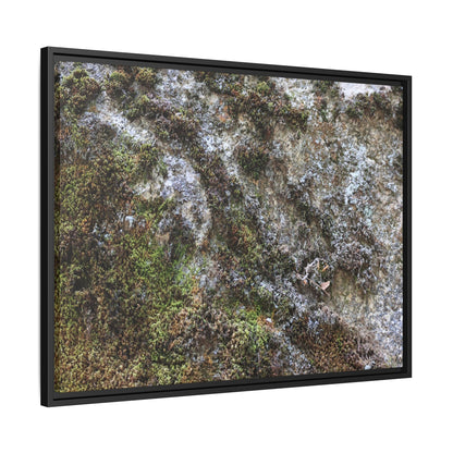 Mossy Whispers - Unique Stretched Canvas Wall Art