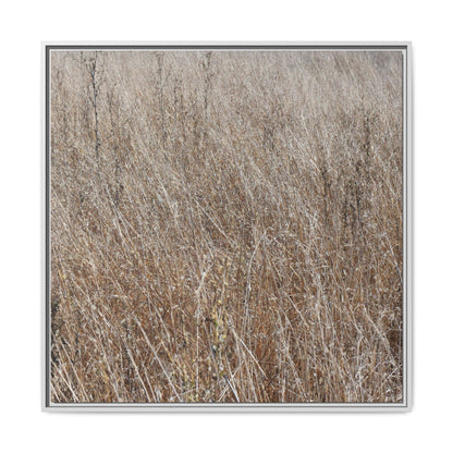 Dry Grass Symphony - Unique Stretched Canvas Wall Art - Art By Earth