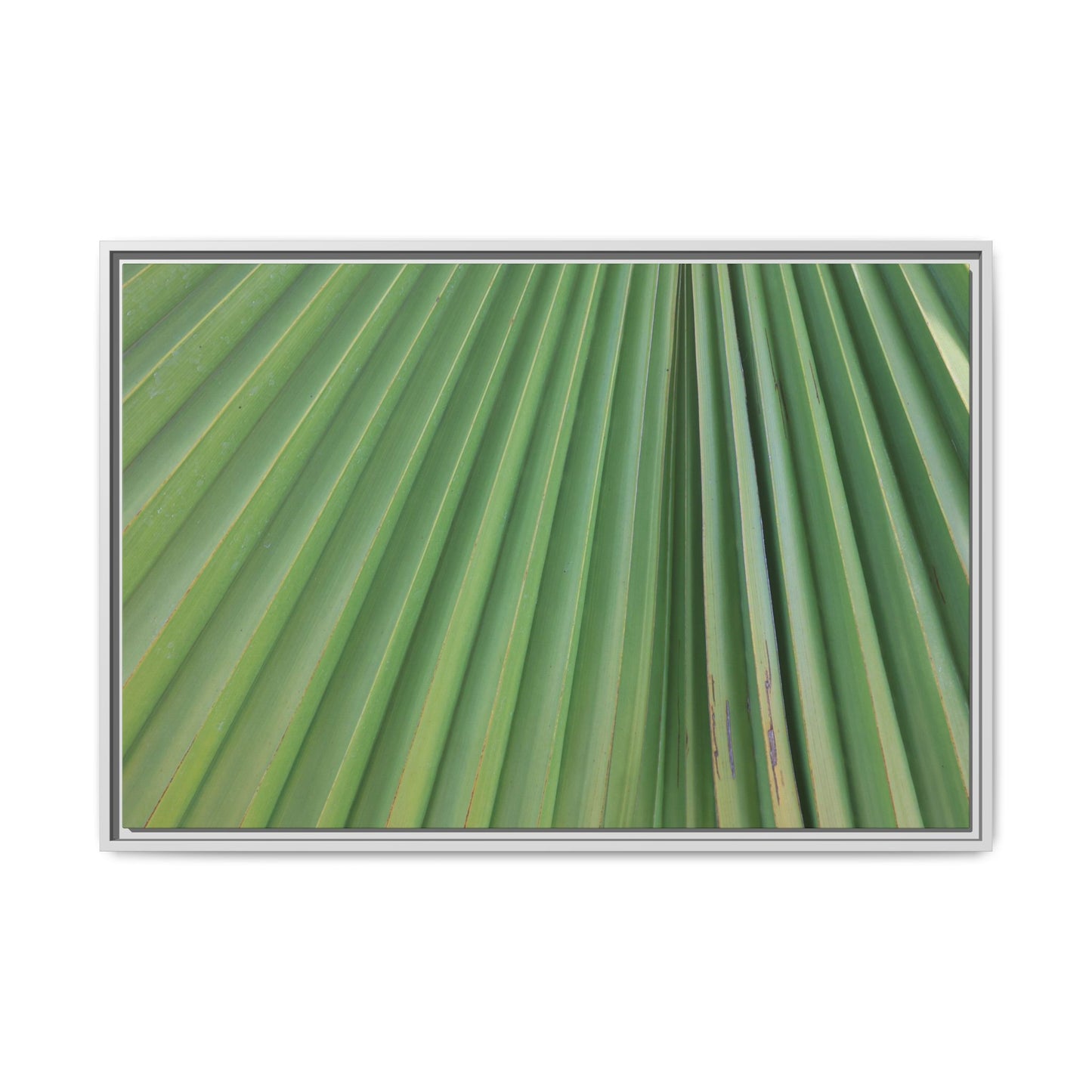 Emerald Rays - Unique Stretched Canvas Wall Art