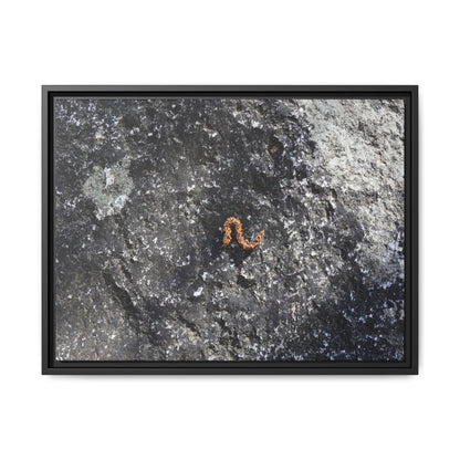 Volcanic Ash and Copper - Unique Stretched Canvas Wall Art