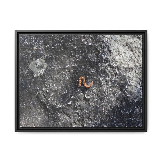 Volcanic Ash and Copper - Unique Stretched Canvas Wall Art