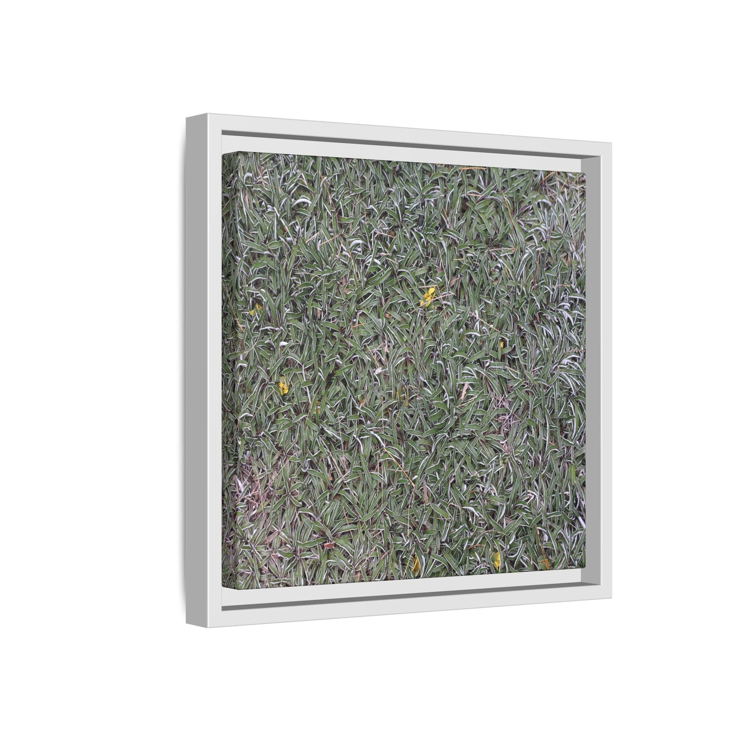 Grassy Texture - Unique Stretched Canvas Wall Art