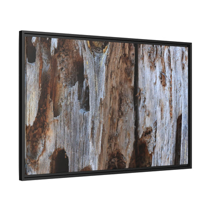 Decaying Splendor - Unique Stretched Canvas Wall Art