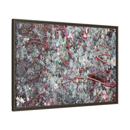 Whispers of Sage - Unique Stretched Canvas Wall Art