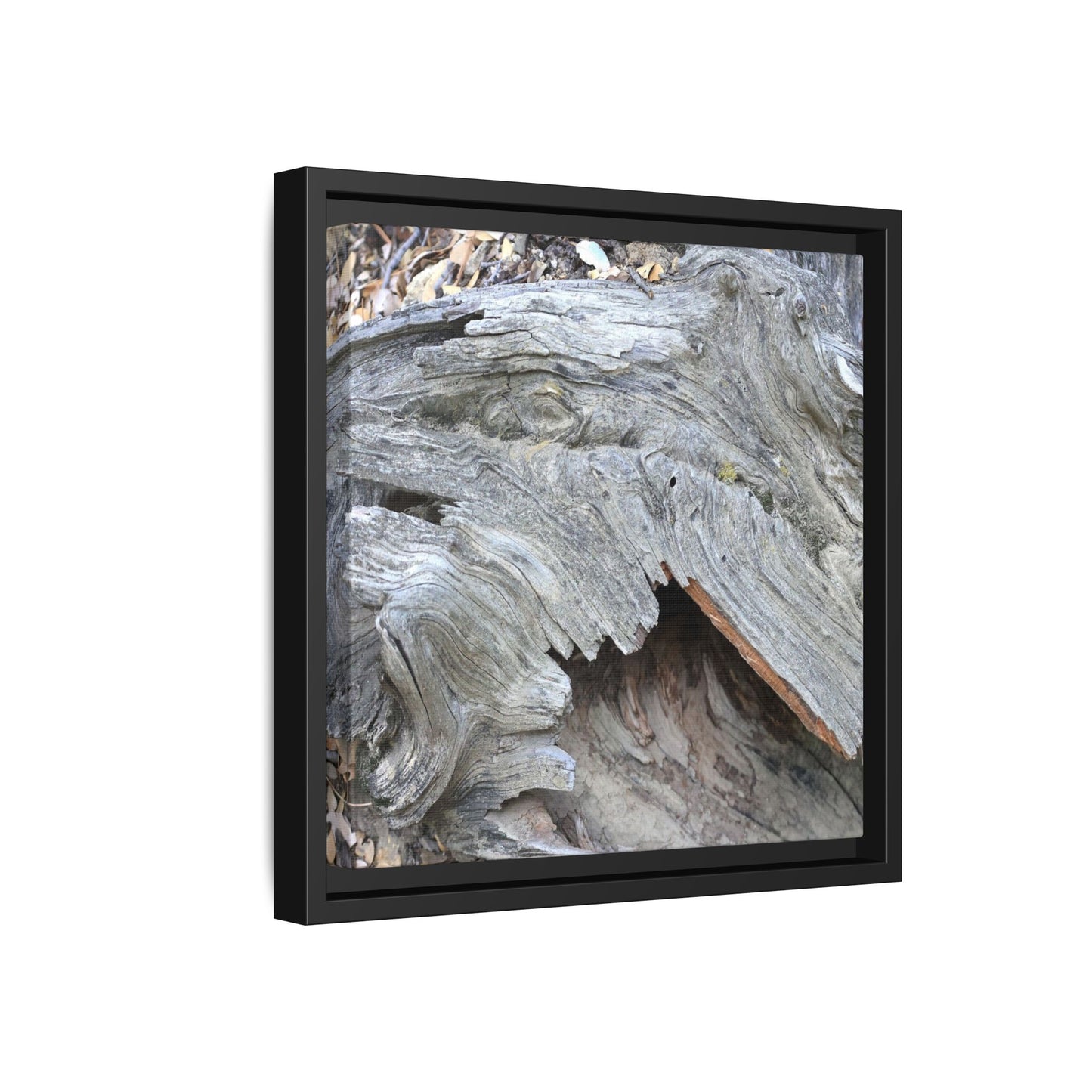 Driftwood Dreams - Unique Stretched Canvas Wall Art