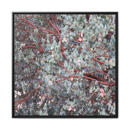 Whispers of Sage - Unique Stretched Canvas Wall Art