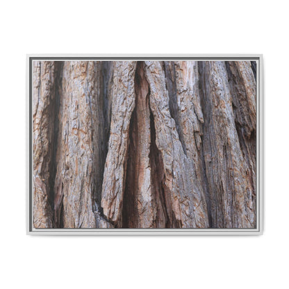 Nature's Sculpture - Unique Stretched Canvas Wall Art
