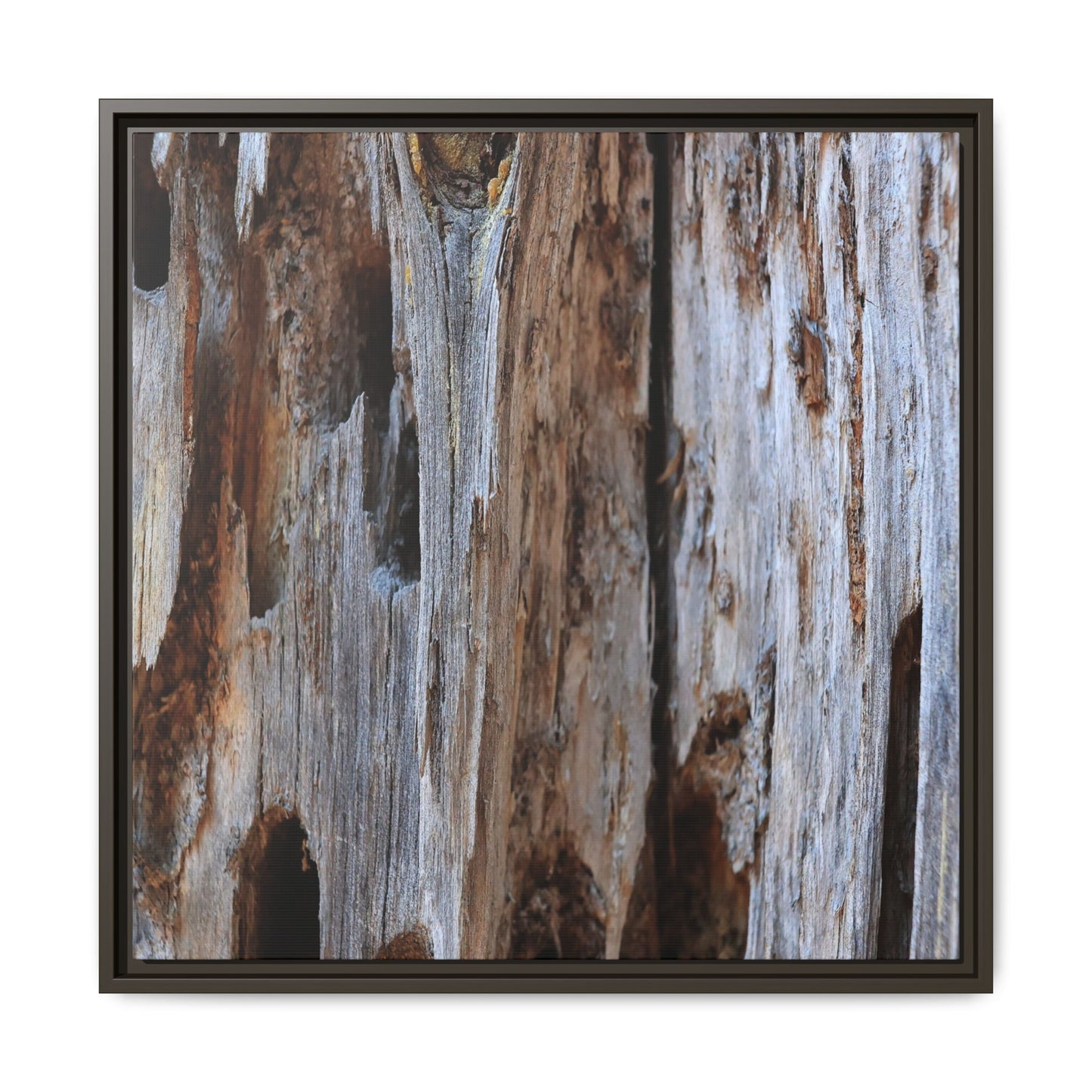 Decaying Splendor - Unique Stretched Canvas Wall Art