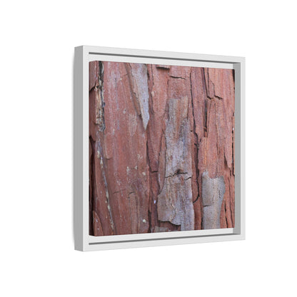 Peeling Bark - Unique Stretched Canvas Wall Art