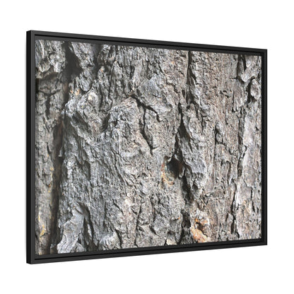 Crusty Exterior - Unique Stretched Canvas Wall Art