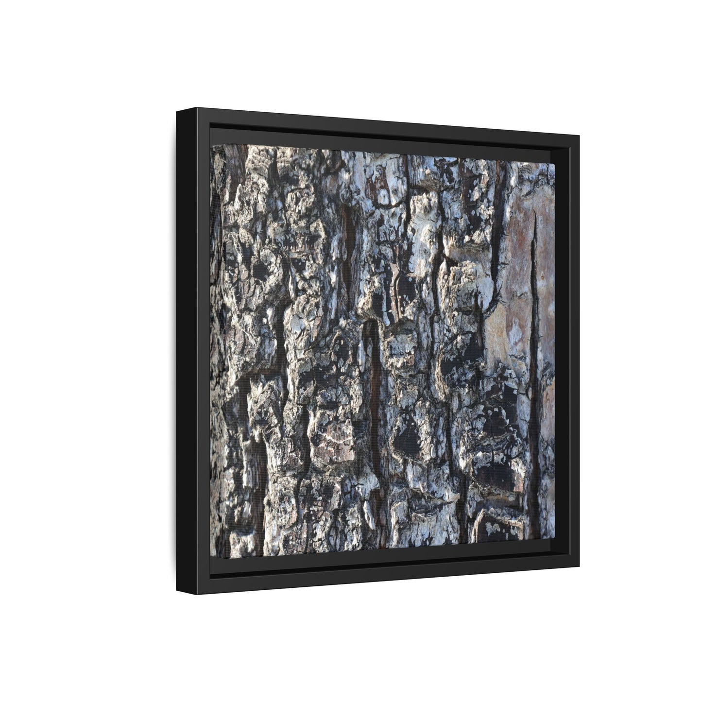 The Bark Chronicles - Unique Stretched Canvas Wall Art