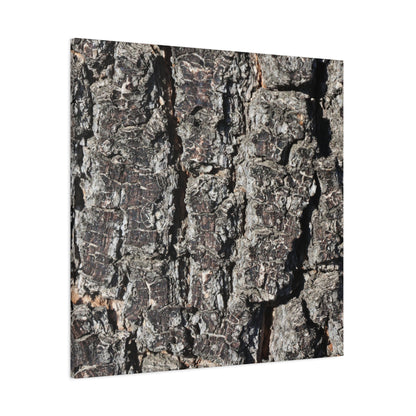 Cracked Skin of Earth - Unique Frameless Canvas Wall Art