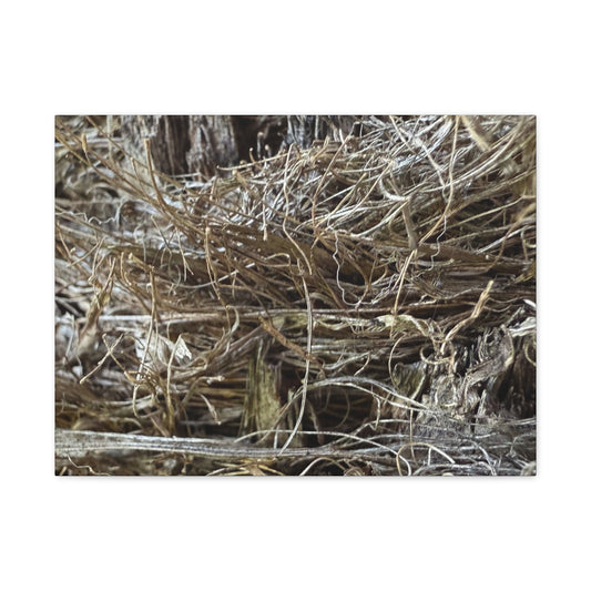 Whispers in Dry Grass - Unique Frameless Canvas Wall Art
