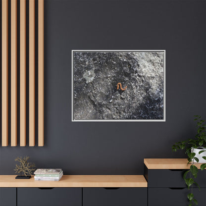 Volcanic Ash and Copper - Unique Stretched Canvas Wall Art