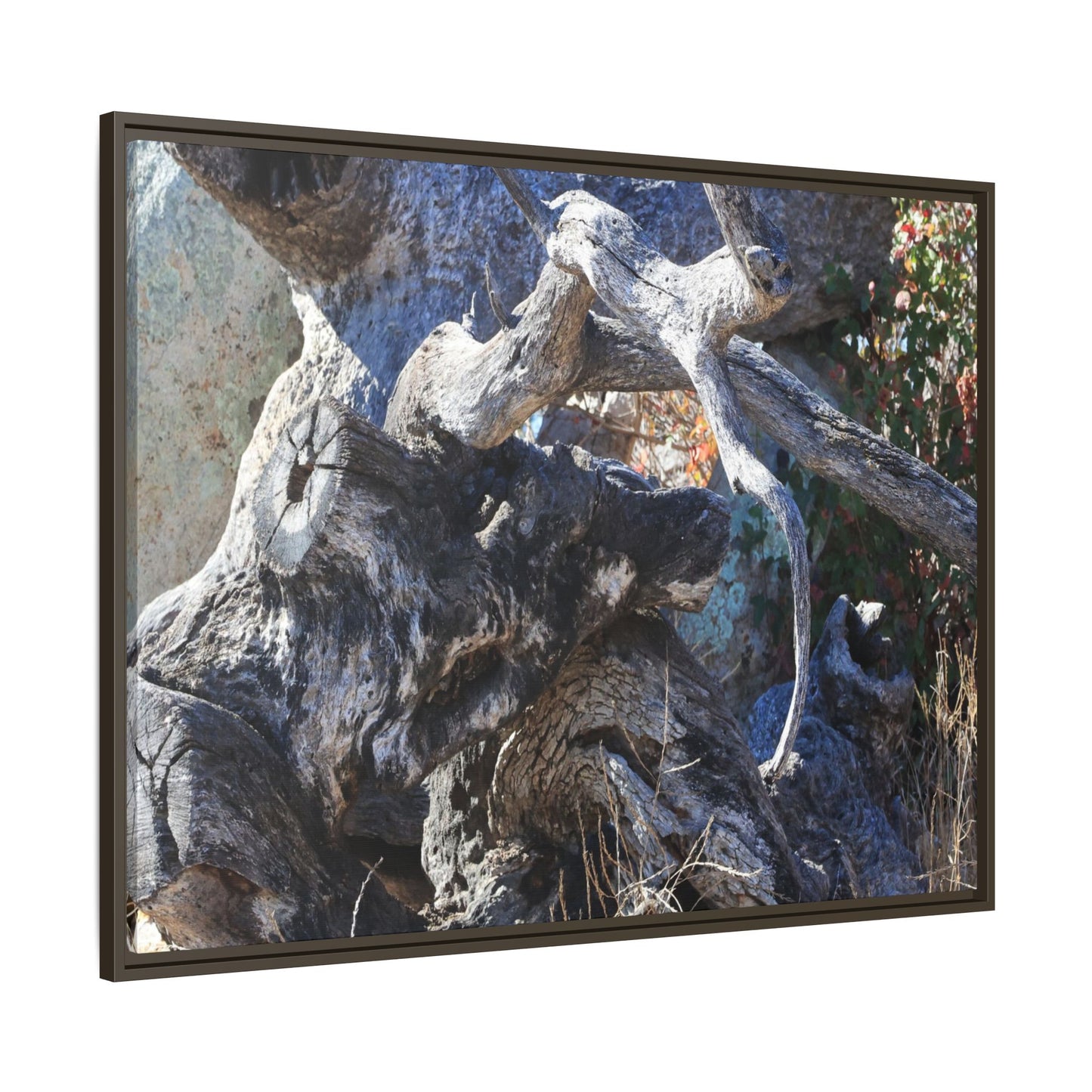 Resilient Roots - Unique Stretched Canvas Wall Art - Art By Earth