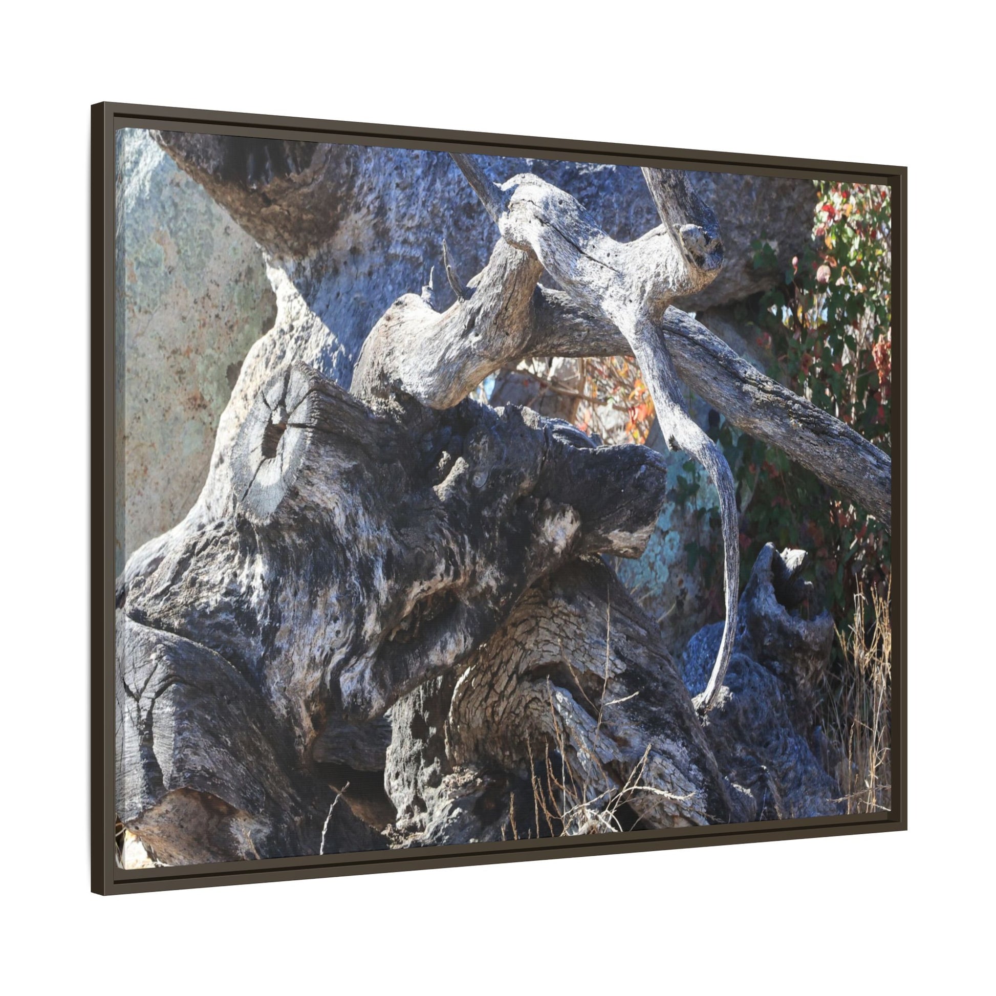 Resilient Roots - Unique Stretched Canvas Wall Art - Art By Earth