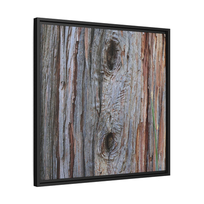Knotty Nature - Unique Stretched Canvas Wall Art