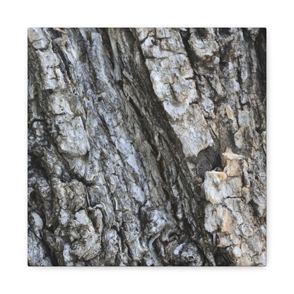 Nature's Rough Embrace - Unique Frameless Canvas Wall Art
