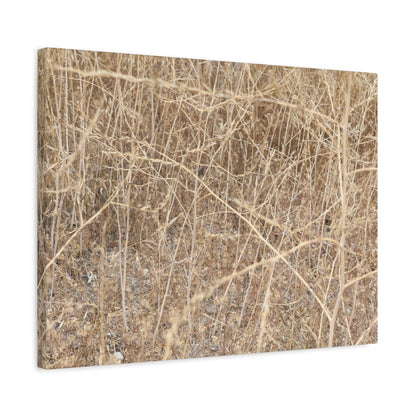 Dry Echoes - Unique Frameless Canvas Wall Art