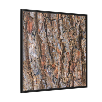 Tree's Timeworn Tale - Unique Stretched Canvas Wall Art