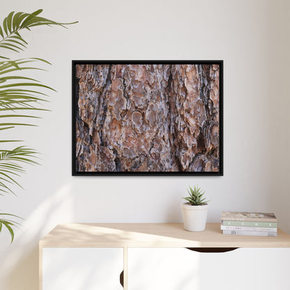 Woody Layers - Unique Stretched Canvas Wall Art