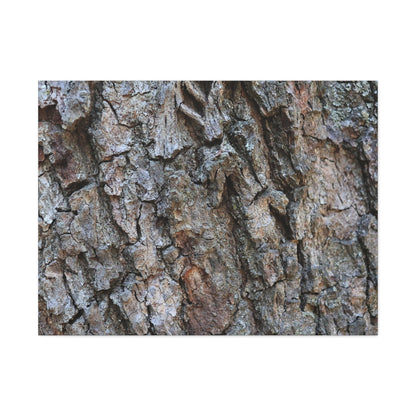 Rugged Canvas - Unique Frameless Canvas Wall Art