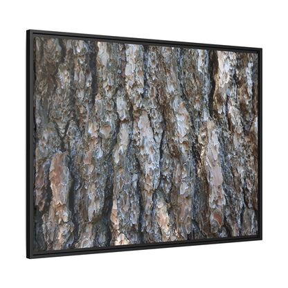 Bark Whispers - Unique Stretched Canvas Wall Art