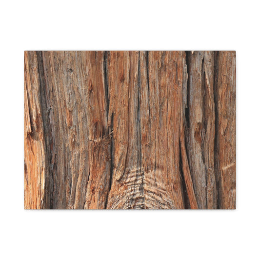 Bark's Ancient Whispers - Unique Frameless Canvas Wall Art