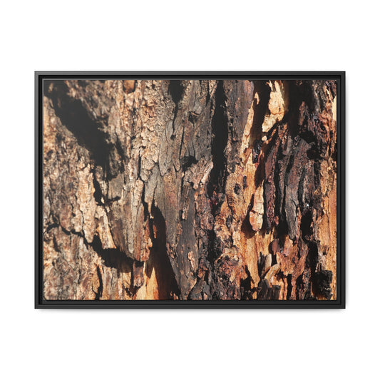 Rugged Beauty - Unique Stretched Canvas Wall Art