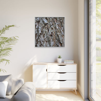 Woodland Canvas - Unique Stretched Canvas Wall Art