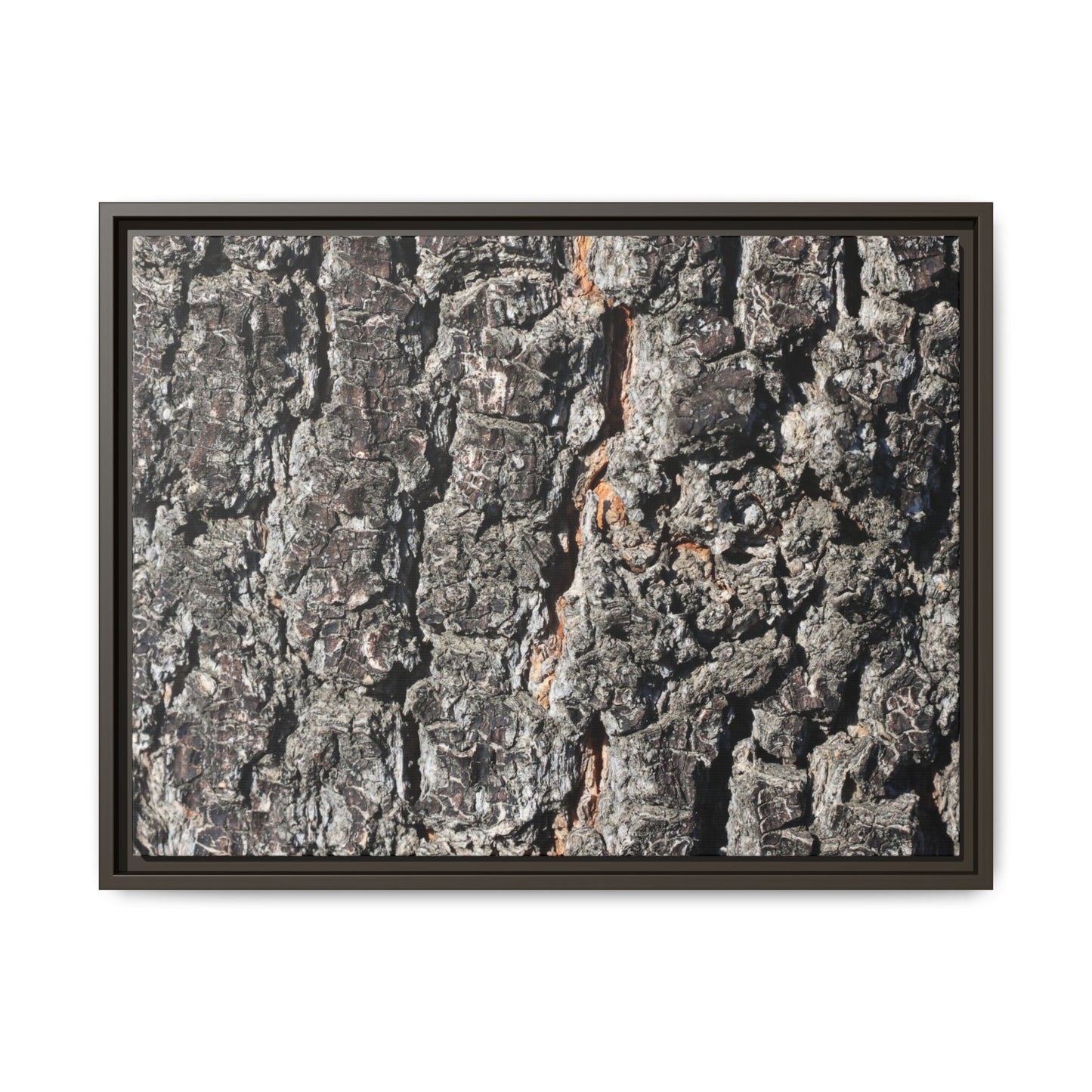 Aged Beauty - Unique Stretched Canvas Wall Art