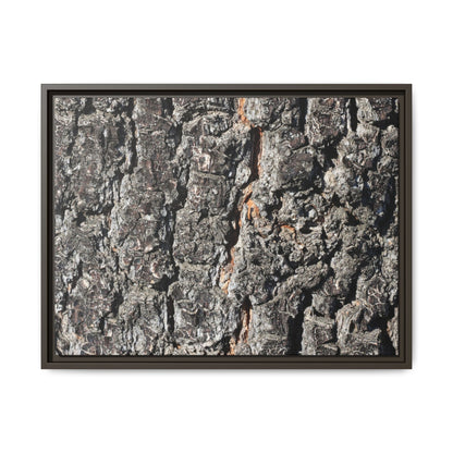 Aged Beauty - Unique Stretched Canvas Wall Art
