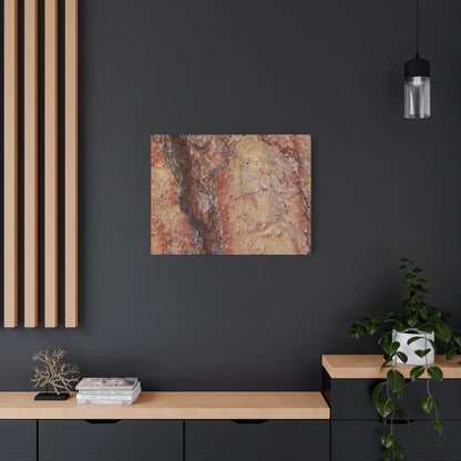 Arboreal Secrets - Unique Frameless Canvas Wall Art - Art By Earth