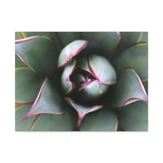 Emerald Spiral - Unique Frameless Canvas Wall Art