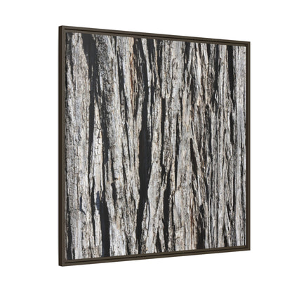 Bark Lines - Unique Stretched Canvas Wall Art