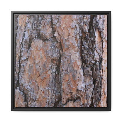 Tree Skin Symphony - Unique Stretched Canvas Wall Art