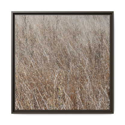 Dry Grass Symphony - Unique Stretched Canvas Wall Art - Art By Earth